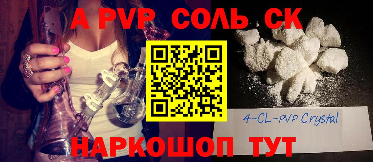 A PVP СК КРИС Курск