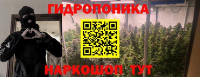 СК Конаково