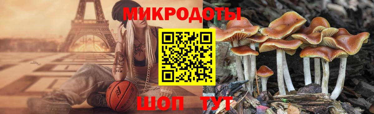 Псилоцибиновые грибы Cubensis  Галлюциногенные грибы Psilocybine cubensis  Вход с VPN  Курск 